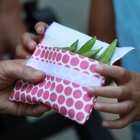 pink-polka-dot-wsnap-peas.jpg