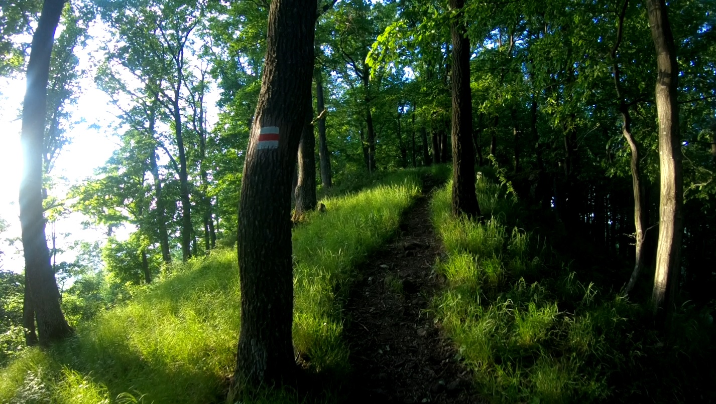 Börzsöny, Salgóvár