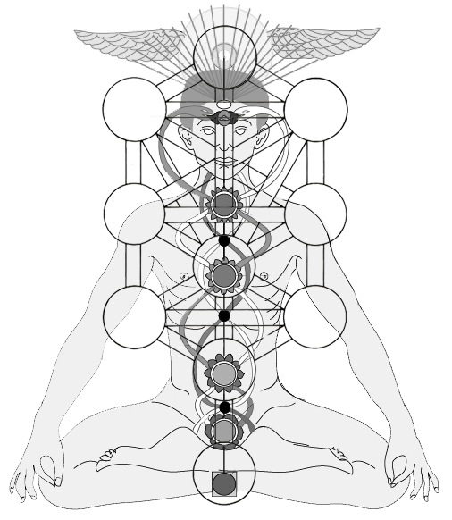 chakra-and-tree.jpg