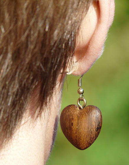 earring-ear-person-wood-jewelry-wood-earring-woman-58714_1.jpg