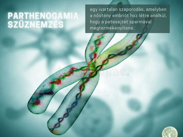 Partenogamia - Szűznemzés