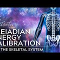 Pleiadian Energy Calibration | The Skeletal System | Light Language Meditation