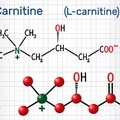 L-karnitin - vegán