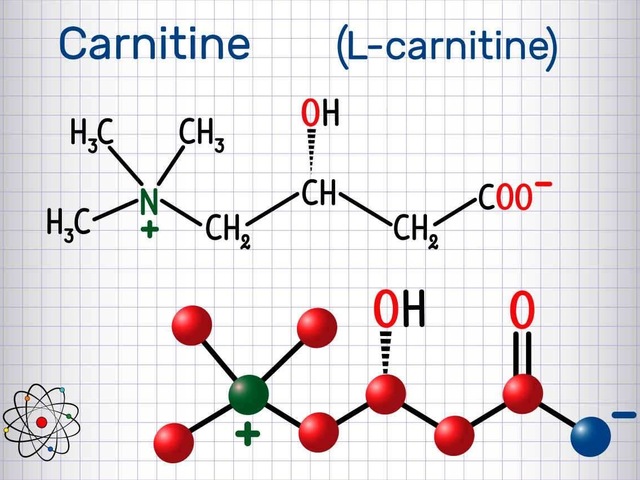 L-karnitin - vegán