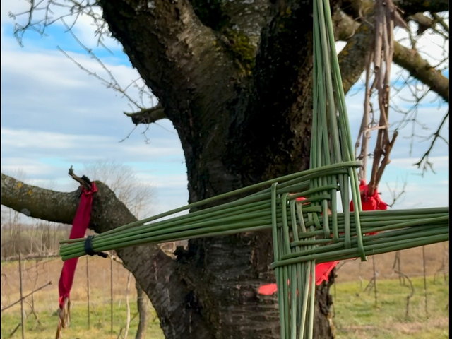 Női Szellemiség Imbolc/Tűzszentelő időszakában