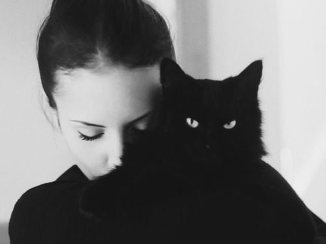 Fekete macska