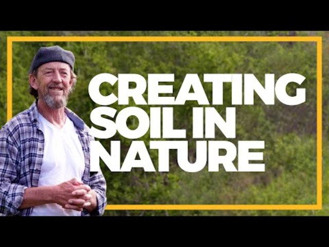 What Creates More Soil in Nature Than Anything Else?