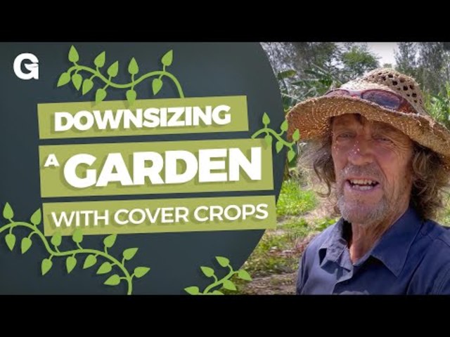 Downsizing the Kitchen Garden with Cover Crop