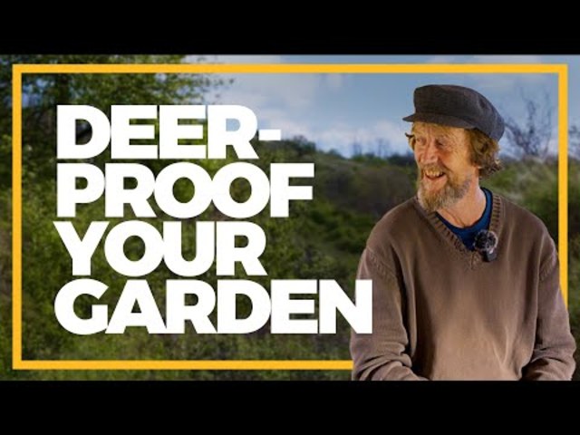 Deer-Proof Your Garden