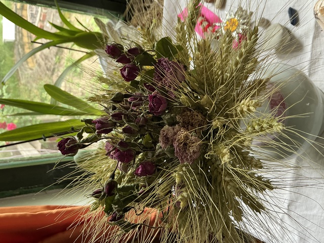 Napfordulós alkotósdi