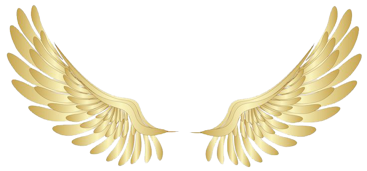 angel-halo-wings-png-file.png