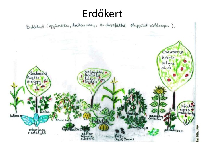 baji-bla-no-brkja-19872010-a-permakultrs-gazdlkods-kiprblsa-magyarorszgon-budapest-science-meetup-janur-4-728.jpg