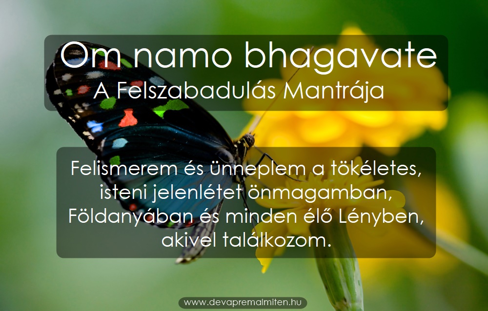 day_7_om_namo_bhagavate_mantra.jpg