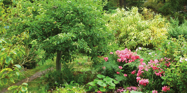 garden-1-1-panorama.jpg