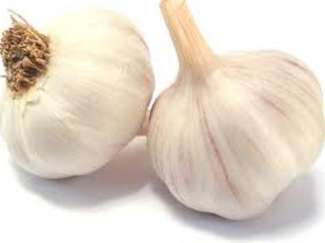 Fokhagyma - Allium sativum