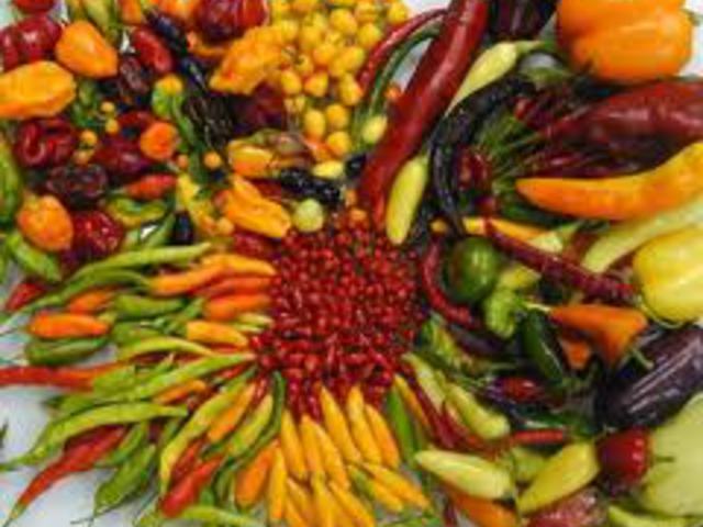 Paprika