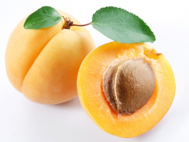 SÁRGABARACK - Prunus armeniaca