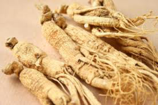 GINZENG - Panax ginseng