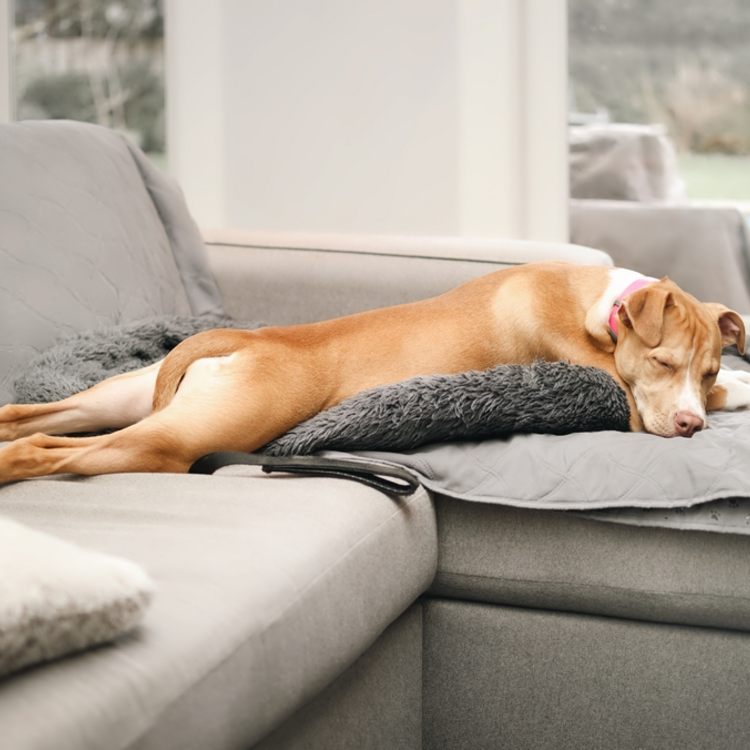 Ezt árulja el rólad, milyen pózban alszol – és azt is megtudod, mitől lesz igazán pihentető az alvás