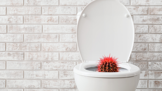 Az egészséges széklet nyomában