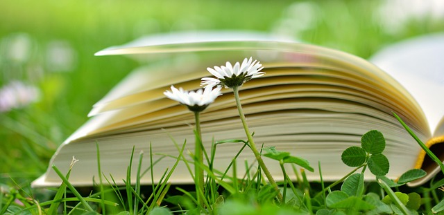 a-book-2304389_640.jpg