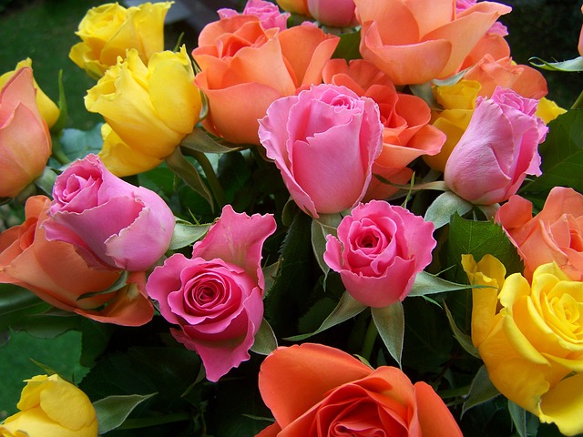 colorful-bouquet-of-roses-949756_640_1.jpg