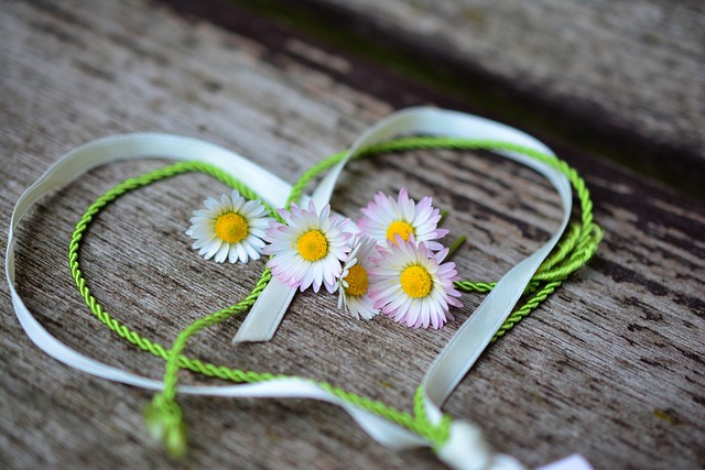 daisy-3392654_640_1_1.jpg