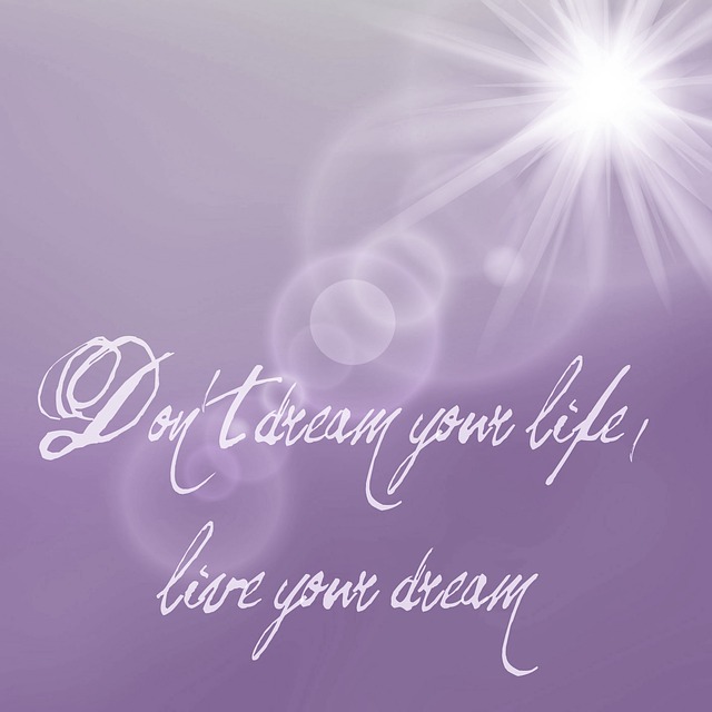 dreams-not-your-life-881079_640.jpg