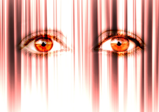 eyes-730751_640.jpg