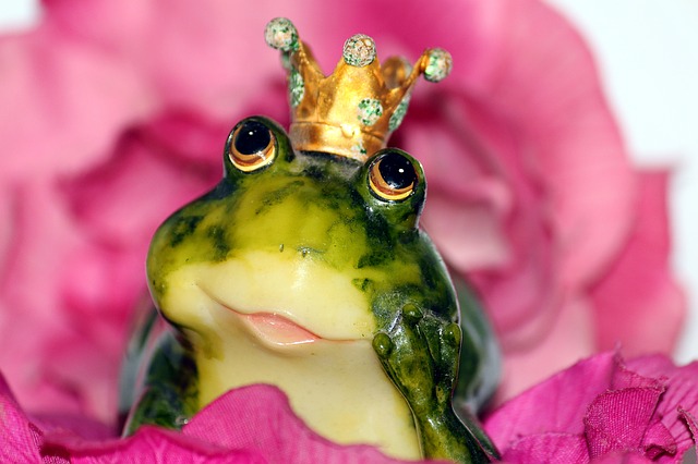 frog-prince-1370022_640.jpg