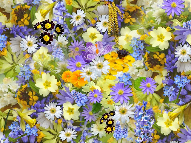 spring-flowers-gb221892b6_640.jpg