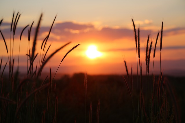 sunset-3416768_640.jpg