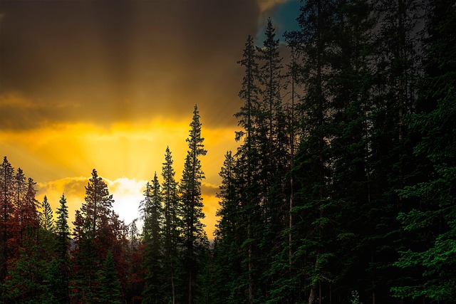 sunset-7345776_640.jpg