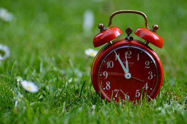 the-eleventh-hour-758723_640.jpg