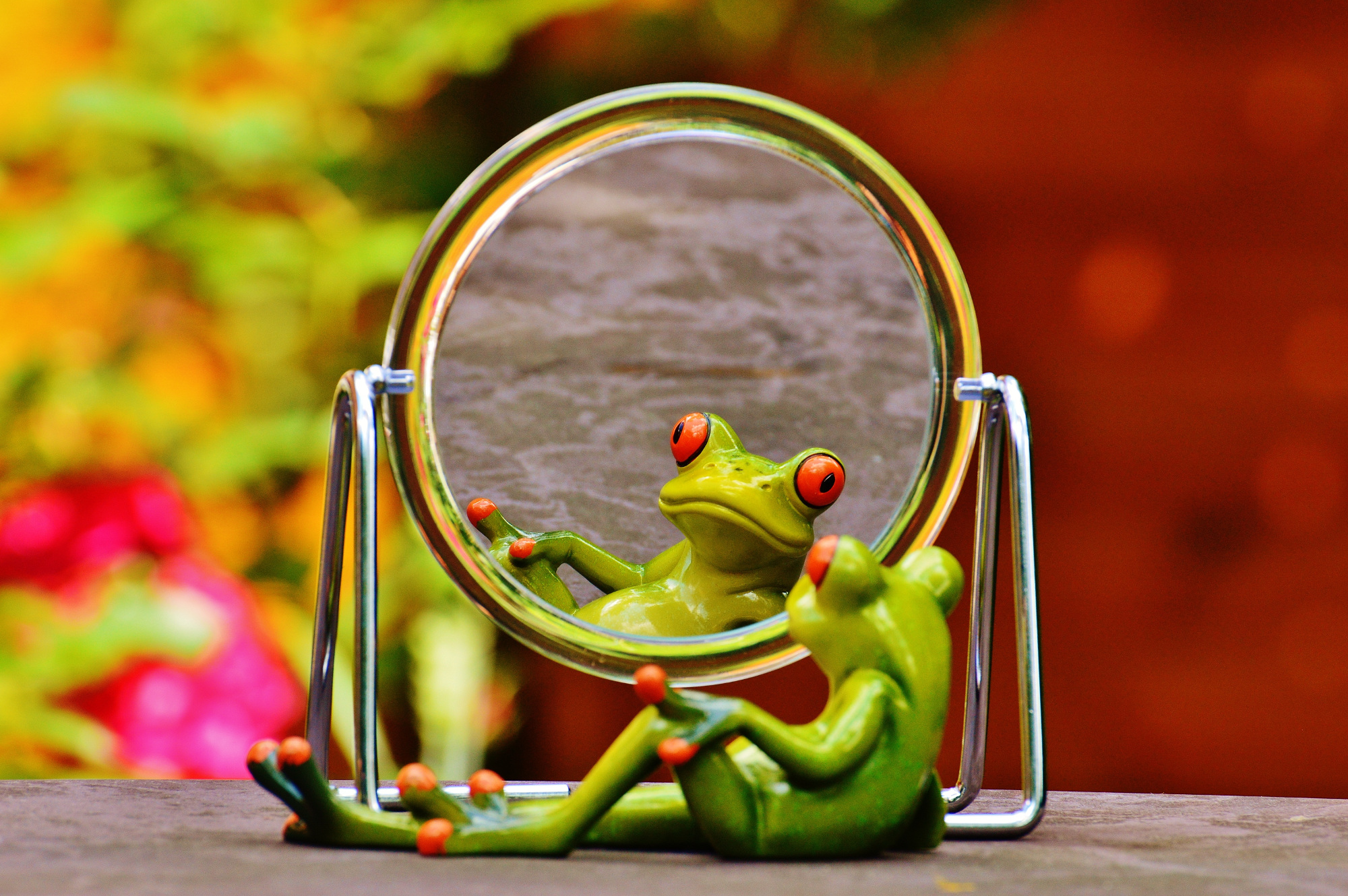 greenfrog_mirror.jpg