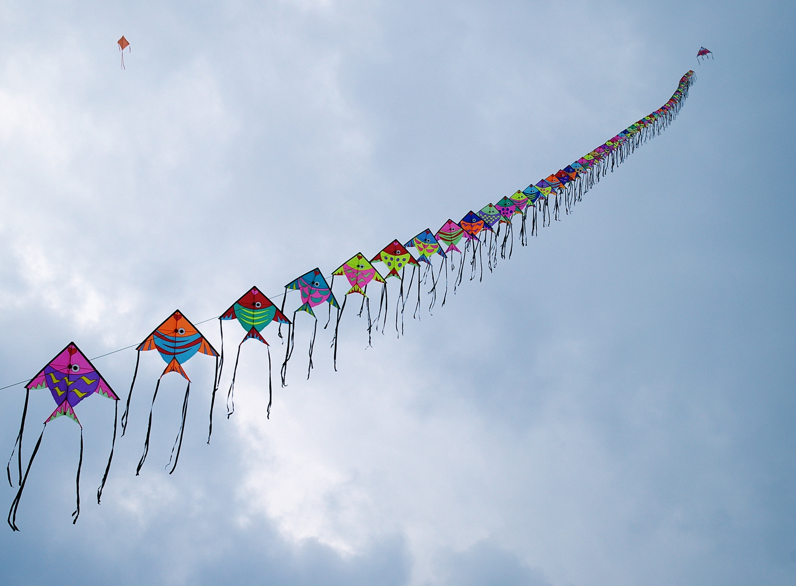 kites.jpg