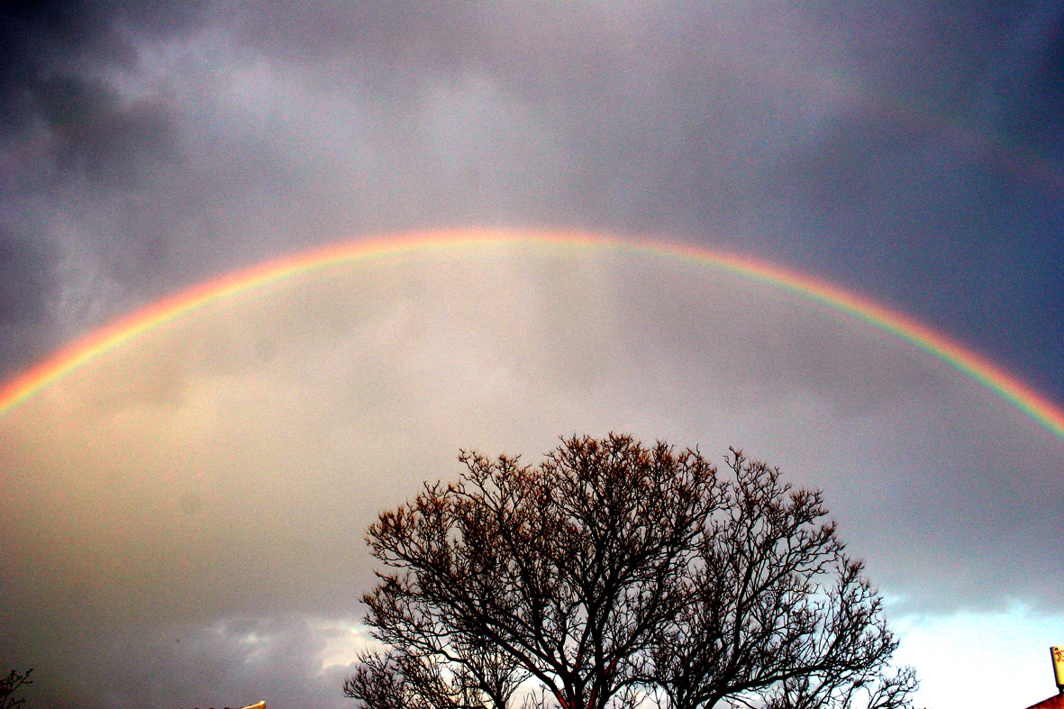 rainbow-3-1531291_1.jpg