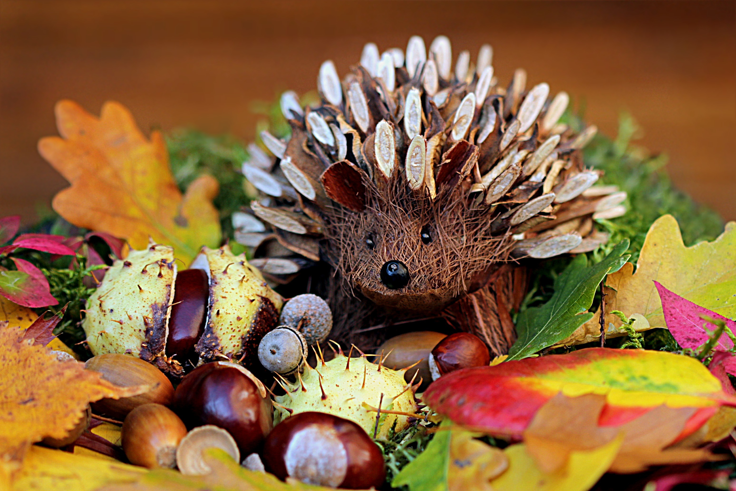 still-life-hedgehog-decoration-herbstdeko.jpg