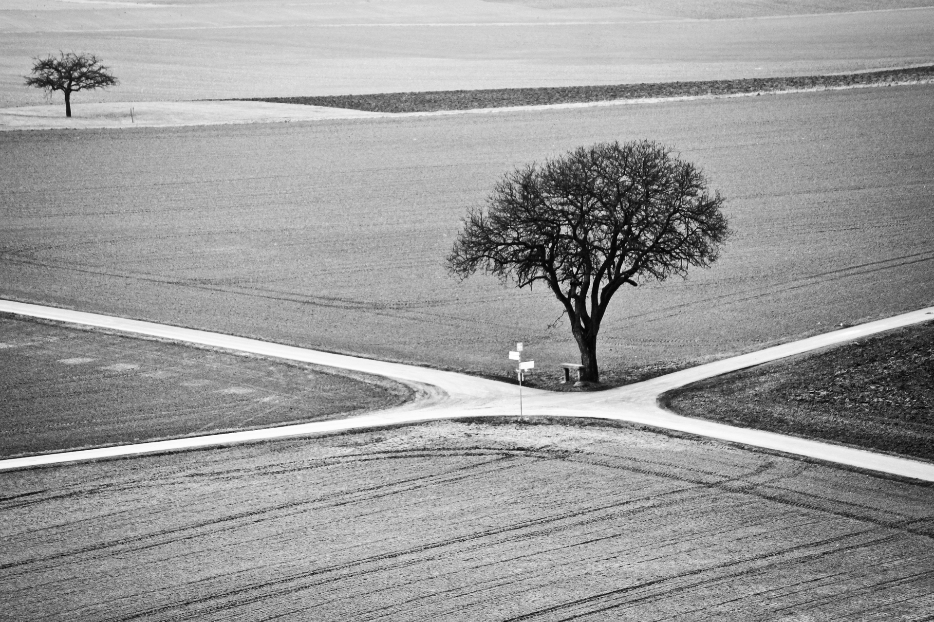 winter-landscape-with-tree.jpg