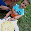 Gasztrofóbia és vendéglátósirató