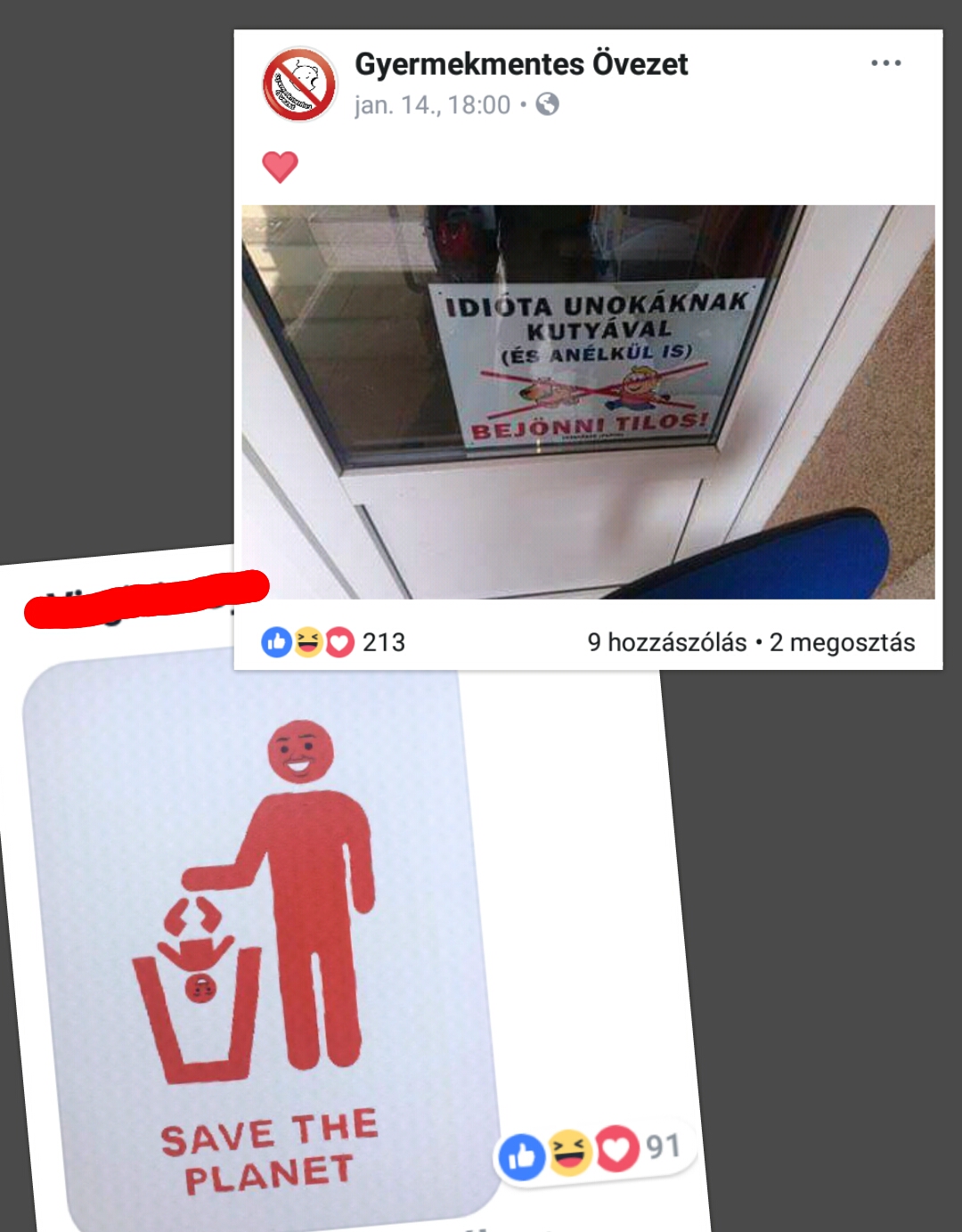 photocollage_1549373567076.jpg