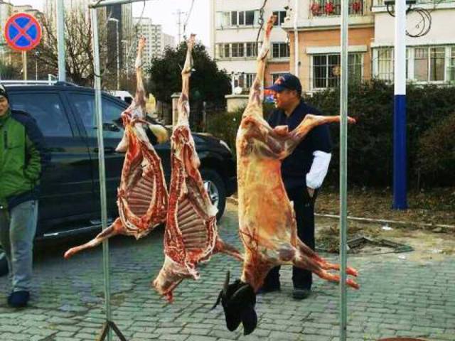 Bárány hús az utcáról - hentes másképp ....
