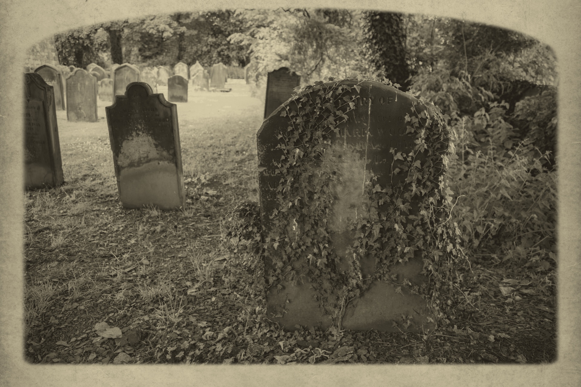 old-cemetery-1474443178tk0.jpg