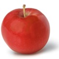 Az alma (pyrus malus)