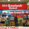 2 McGoulasHRobot <***11***>