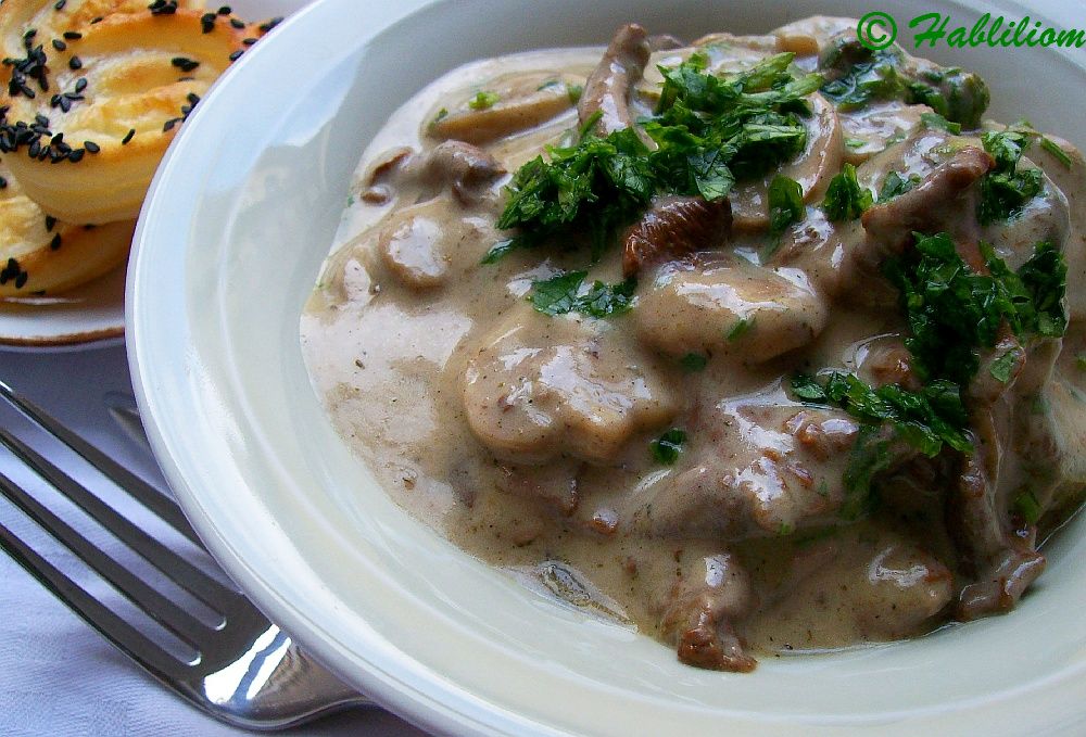 gomba_stroganoff13.jpg