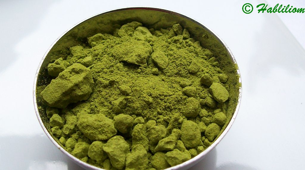 matcha_suti02.jpg