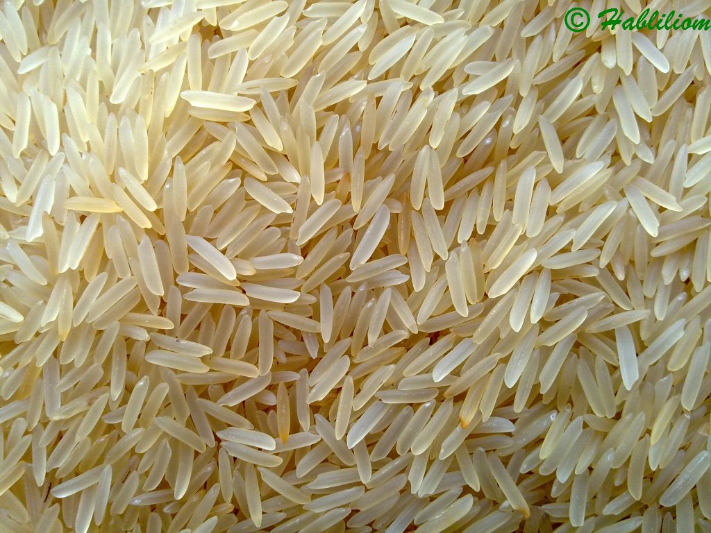 rizs.jpg