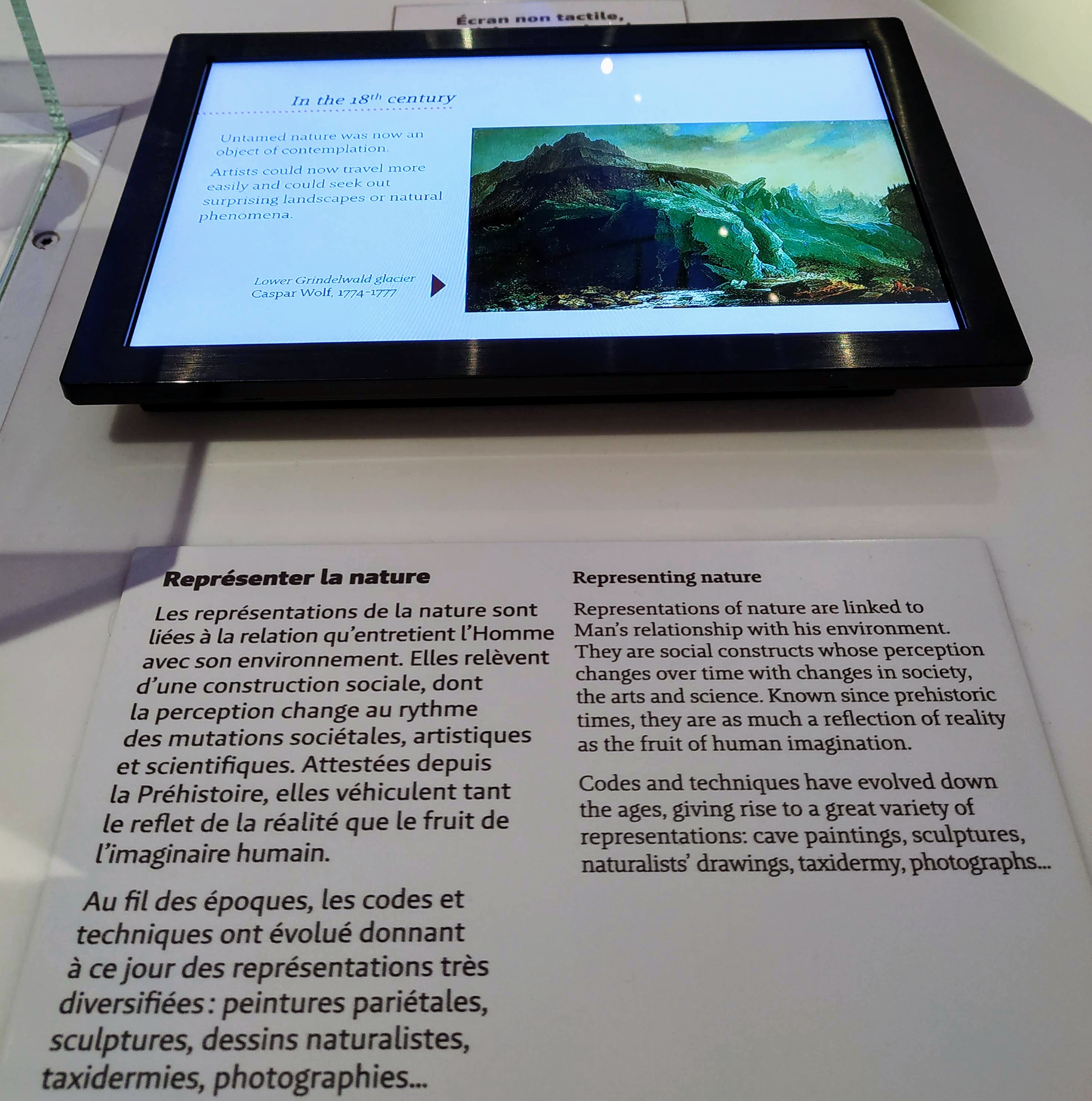 bordeaux_termeszettudomanyi_muzeum_tablet.jpg