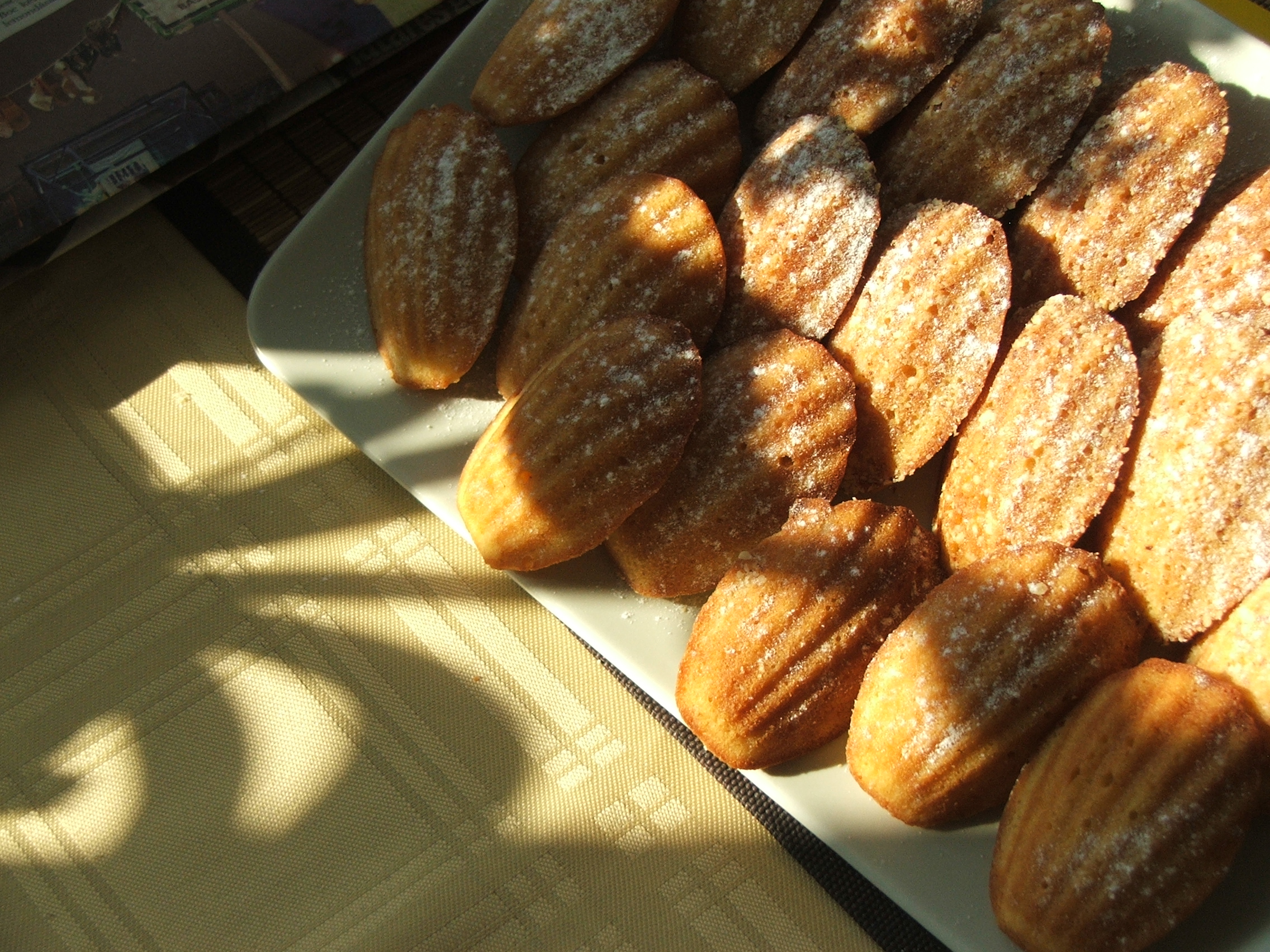 DSCF9338.JPG